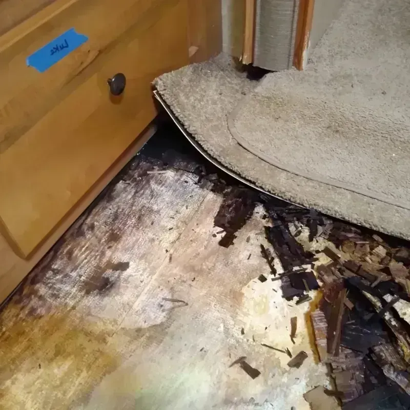 Wood Floor Water Damage in Alafaya, FL